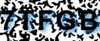 grafischer Sicherheitscode