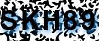 grafischer Sicherheitscode