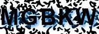 grafischer Sicherheitscode