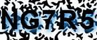 grafischer Sicherheitscode