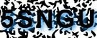grafischer Sicherheitscode