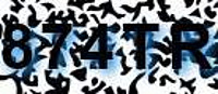 grafischer Sicherheitscode