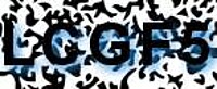 grafischer Sicherheitscode