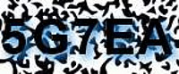 grafischer Sicherheitscode