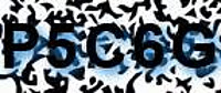 grafischer Sicherheitscode