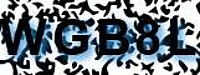 grafischer Sicherheitscode