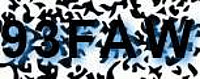 grafischer Sicherheitscode