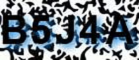 grafischer Sicherheitscode