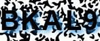 grafischer Sicherheitscode