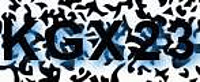 grafischer Sicherheitscode