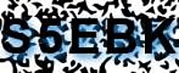 grafischer Sicherheitscode