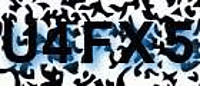 grafischer Sicherheitscode