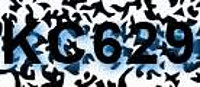 grafischer Sicherheitscode
