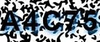 grafischer Sicherheitscode