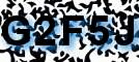grafischer Sicherheitscode