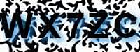 grafischer Sicherheitscode