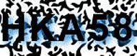 grafischer Sicherheitscode