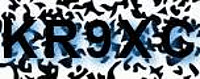 grafischer Sicherheitscode