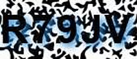grafischer Sicherheitscode