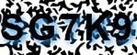 grafischer Sicherheitscode