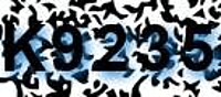 grafischer Sicherheitscode