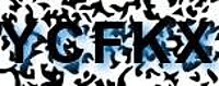 grafischer Sicherheitscode