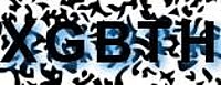 grafischer Sicherheitscode