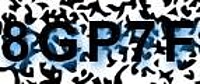 grafischer Sicherheitscode