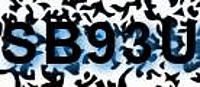 grafischer Sicherheitscode