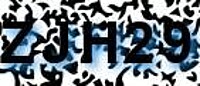 grafischer Sicherheitscode