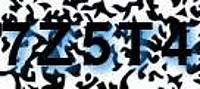 grafischer Sicherheitscode