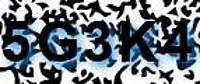 grafischer Sicherheitscode