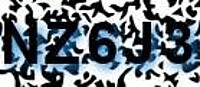 grafischer Sicherheitscode