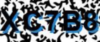 grafischer Sicherheitscode