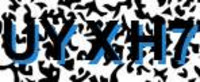 grafischer Sicherheitscode