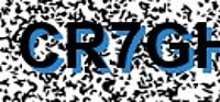 grafischer Sicherheitscode