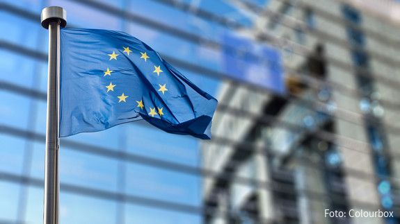 EU-Pflegestrategie EU Flagge