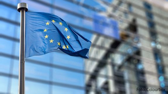 EU-Pflegestrategie EU Flagge