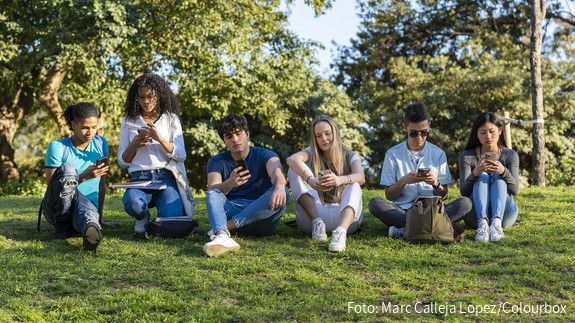 Group of teenage friends looking at phone in the park on green grass. Three boys and three girls