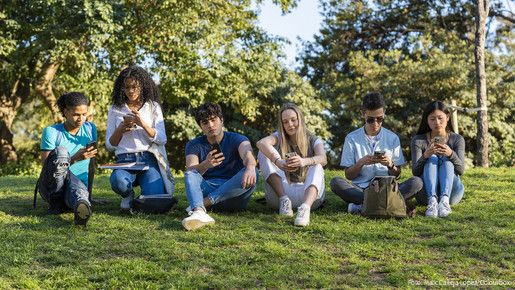 Group of teenage friends looking at phone in the park on green grass. Three boys and three girls