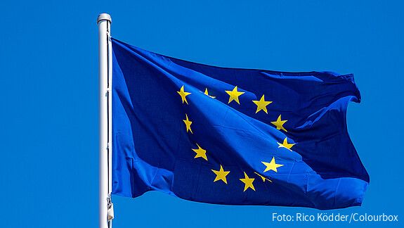 Die AG Europa informiert - Februar 2025 Das Foto zeigt eine Europaflagge, die im Wind flattert.